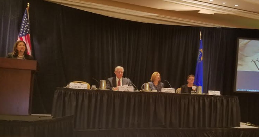 IVP Highlighted During Panel Presentation at the Conference of Chief Justices